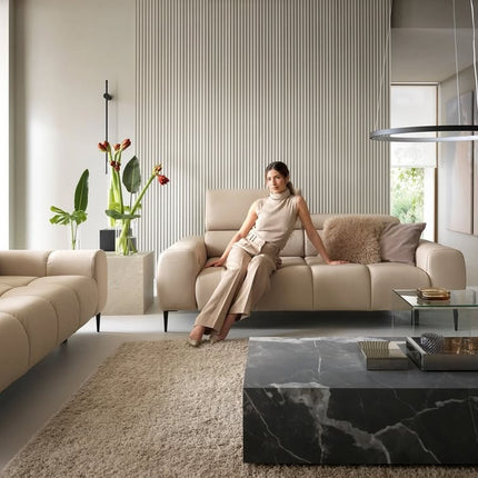 Plaza 3 ja 2 kohandatavad diivanid ehtsa nahaga