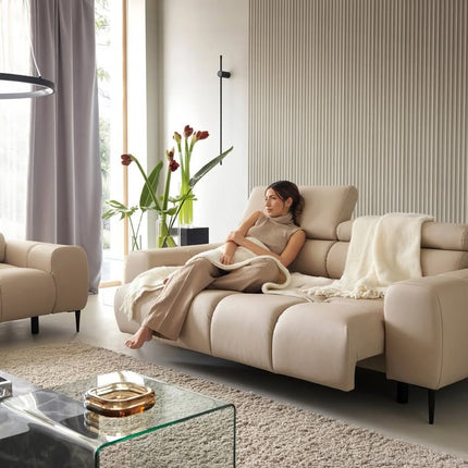 Plaza 3 ja 2 kohandatavad diivanid ehtsa nahaga