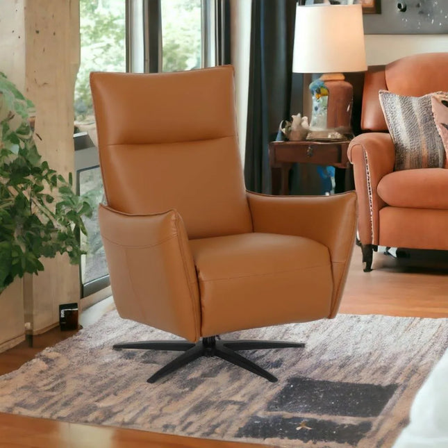  Lia Recliner sähkösäätöinen ruskea tai musta recliner tuoli ec8633-2.myshopify.com 