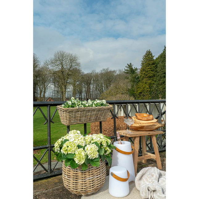  Bristol LED Viini Cooleri viini jäähdytin ec8633-2.myshopify.com muut tuotteet, Pihavalaisimet, Puutarhakalusteet, Pöytävalaisimet, Valaisimet