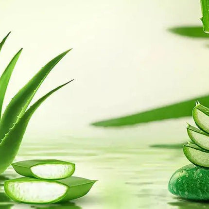 Aloe Green Latex Petauspatja 7 cm paksu - KalusteDuo_Huonekaluliike_petauspatja