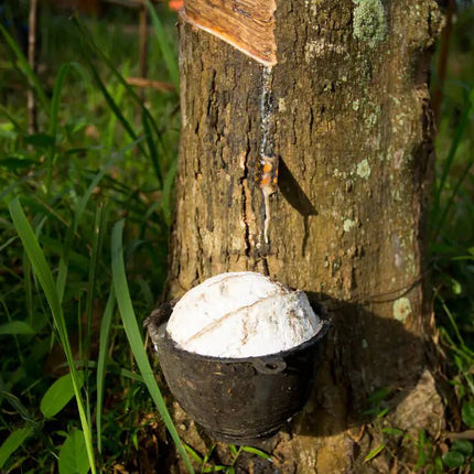 Aloe Green Latex Petauspatja 7 cm paksu - KalusteDuo_Huonekaluliike_petauspatja