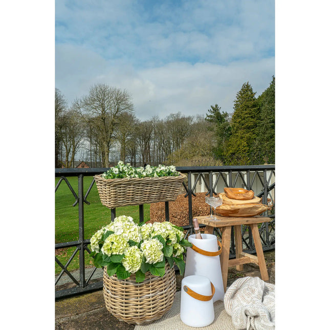 Bristol LED Viini Cooleri - KalusteDuoHuonekaluliikeviini jäähdytin