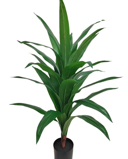 Vega – lohikäärmepuu 110 cm - KalusteDuo_Huonekaluliike_Tekokasvi